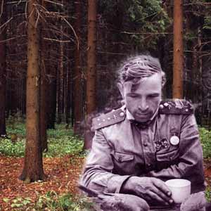 Сосновый бор и Симбирцев
