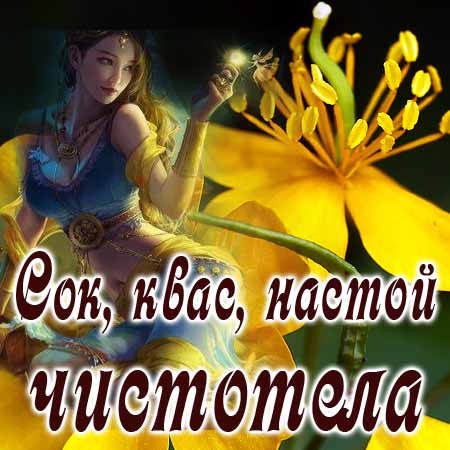Чистотел