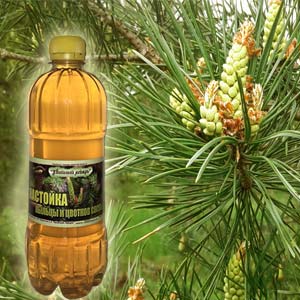 Настойка цветков и пыльцы сосны в сосновом бору