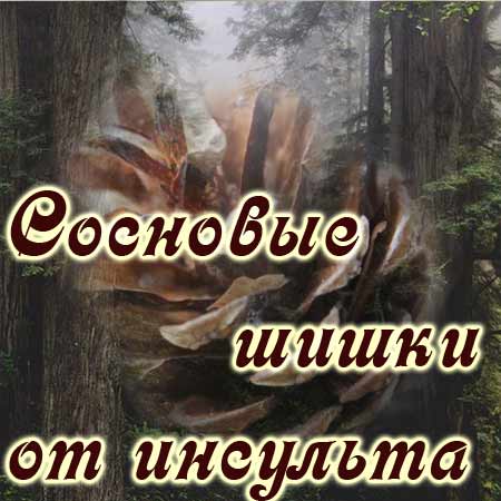 Сосновые шишки применяемые от инсульта