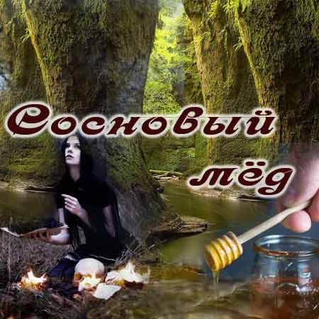 Сироп из зеленых сосновых шишек