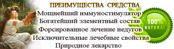 Купить настойку цветков и пыльцы сосны