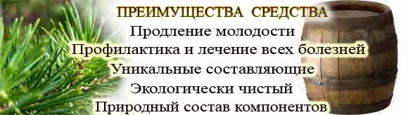 Хвойный квас, исходные компоненты