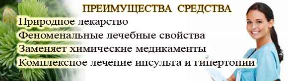 Свойства настойки красных шишек сосны