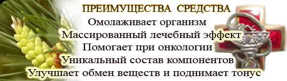 Полезные свойства пыльцы сосны