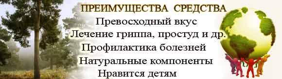 Польза варенья из сосновых шишек